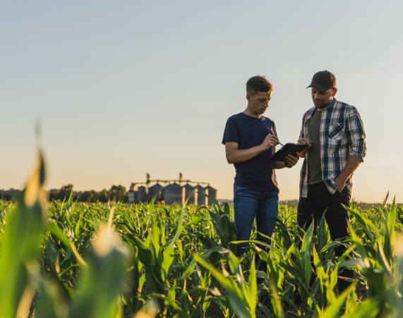 Food and Agriculture@2x