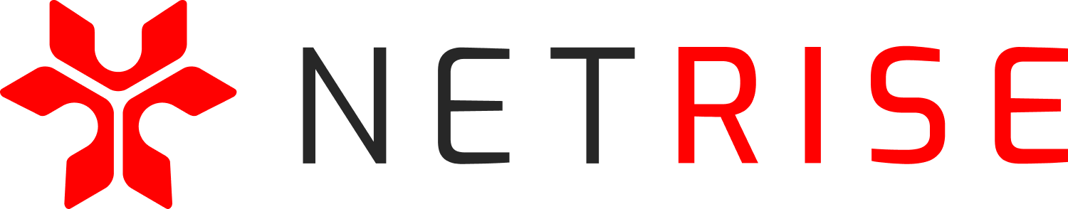 NetRise-Logo-Horz-RGB-Blk (1)